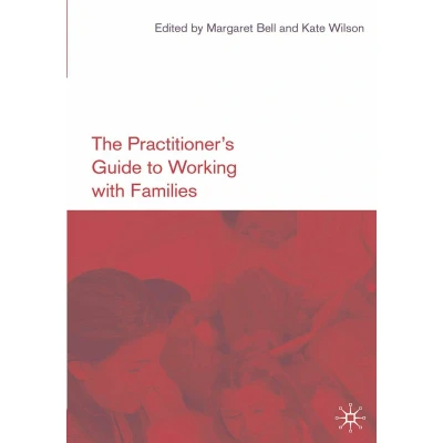 Afbeelding van The Practitioner s Guide to Working with Families
