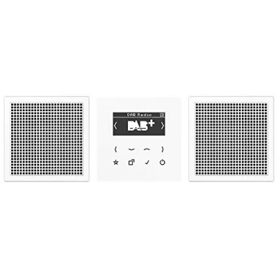 Afbeelding van Jung radio dabls2ww
