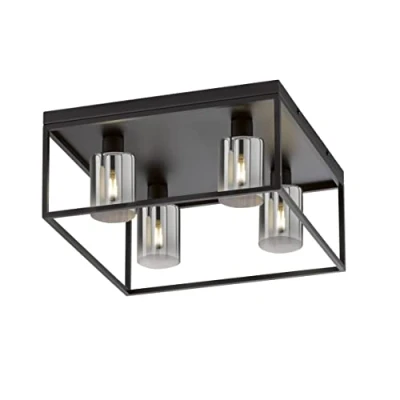 Afbeelding van Honsel Leuchten Plafondlamp Iska (1 stuk)