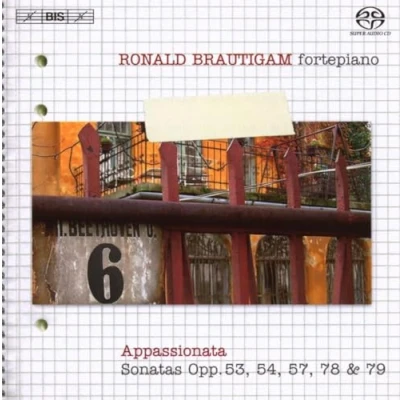 Afbeelding van Ronald Brautigam Complete Works For Solo Piano Volume 6 (Super Audio CD)