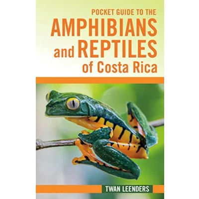 Afbeelding van Pocket Guide to the Amphibians and Reptiles of Costa Rica
