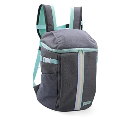 Afbeelding van Quid Lunchtrommel Sugar Rugzak Thermisch 20 L 30 X 22 40 Cm Grijs