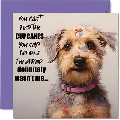 Afbeelding van Grappige verjaardagskaarten voor vrouwen mannen The Cake Thief Happy Birthday Card mama papa broer zus zoon dochter Nan opa tante oom, 145 mm x grap humor verjaardag wenskaarten