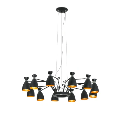 Afbeelding van Faro Lighting Retro 12 Light Multi Arm Plafond Hanger Zwart, Goud, E14