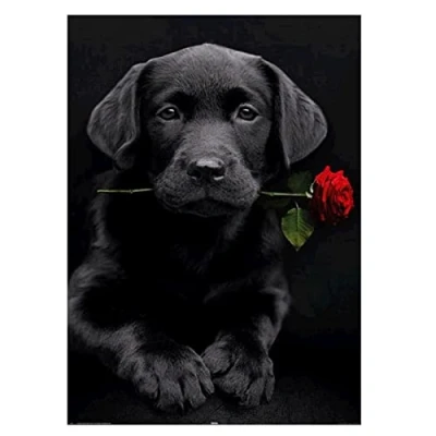 Afbeelding van DIY 5D Diamond Painting Kit, Art Full Drill Labrador and Rose Crystal Embroidery Cross Stitch Arts Craft Supply for Living Room Wall Decor