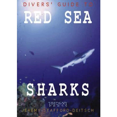 Afbeelding van Red Sea Sharks