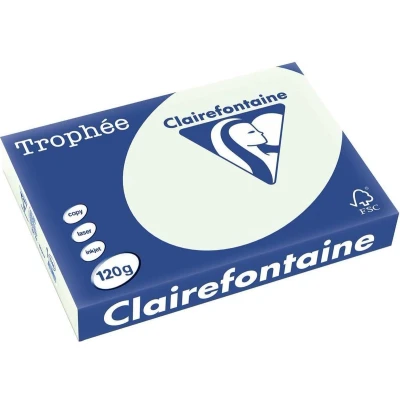Afbeelding van Clairefontaine Trophée Pastel, gekleurd papier, A4, 120 g, 250 vel, lichtgroen papier