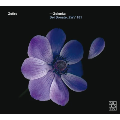 Afbeelding van Zefiro Sei Sonate, Zwv 181 (2 CD)