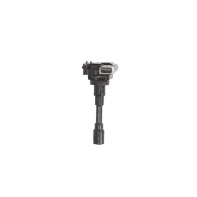 Afbeelding van Bobine DELPHI GN10318 12B1