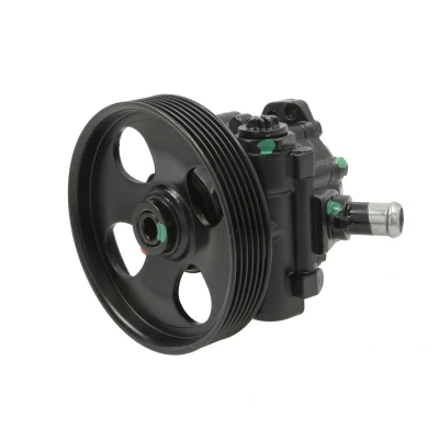 Afbeelding van Lauber Servopomp 55.4303