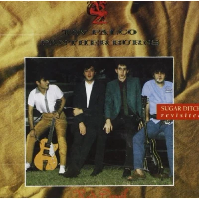 Afbeelding van Tav Falco &amp; Panther Burns Red Devil (CD)