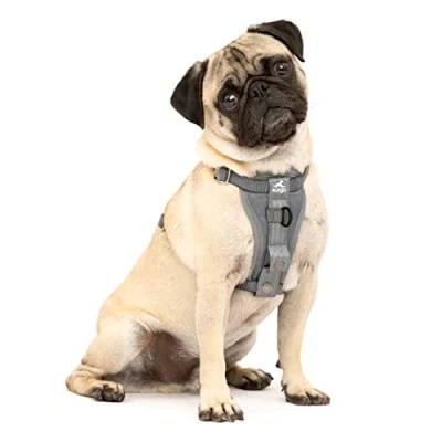 Afbeelding van Kurgo Tru Fit Autoveiligheidstuigje voor honden, met gevoerd borstdeel en D ring, autogordel, maat S, grijs