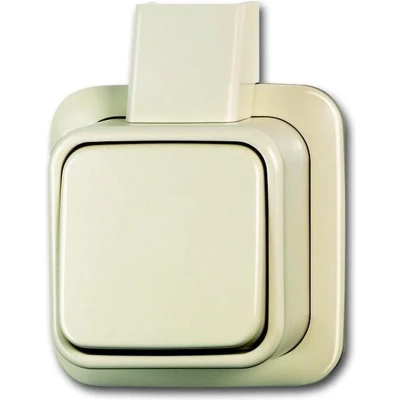 Afbeelding van Busch Jaeger BD2000 Wisselschakel. 1V Creme 2601/6 APJ