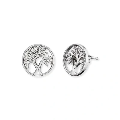 Afbeelding van Engelsrufer Oorbellen ERE LILTREE ST Gerhodineerd sterling zilver