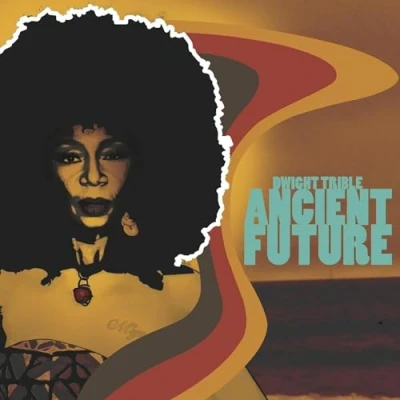 Afbeelding van Dwight Trible Ancient Future (LP)