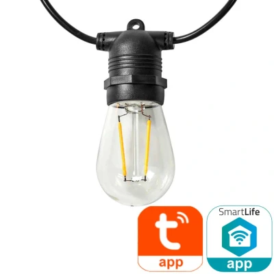 Afbeelding van SmartLife Decoratieve LED Feestverlichting Wi Fi Warm Wit 10 LED&#039;s N