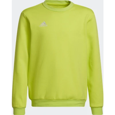 Afbeelding van adidas Performance Fussball Teamsport ENTR Sweater voor kinderen, Maat: 164, Gruen