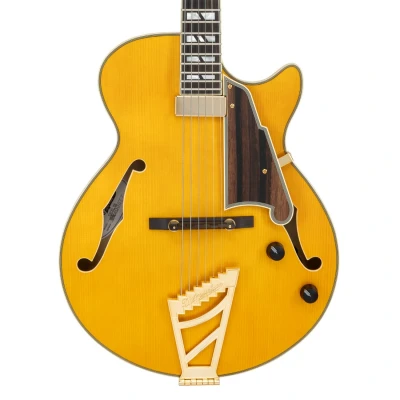 Afbeelding van D&quot;;Angelico Excel SS Soho Amber semi akoestische gitaar met gigbag