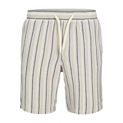 Afbeelding van Jack &amp; Jones Jpstjaiden COBA Stripe Shorts, Heren, Maat: XS, Celadon tint