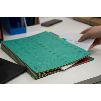 Afbeelding van Exacompta Ref. 5124E 1 Sorteermap HARMONIKA met elastieken en uitgesneden vensters Omslag in glanskarton uitbreidbare rug 24 vakken voor A4 afmeting 24,5 x 32cm Kleur: groen