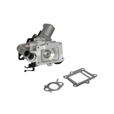 Afbeelding van EGR klep NRF 48649