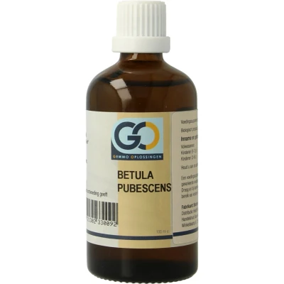 Afbeelding van Go Betula Pubescens Bio, 100 ml