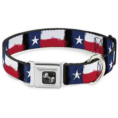 Afbeelding van Buckle Down gordel gesp hond kraag Texas, 1&quot; Wide Fits 15 26&quot; Neck Large, Texas Flag Painting