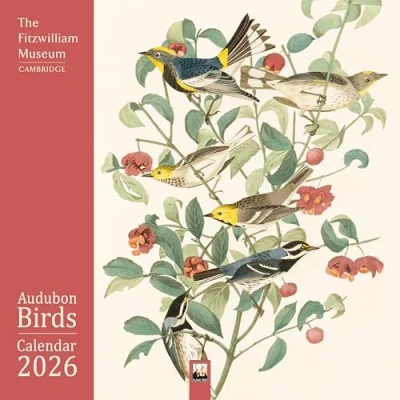 Afbeelding van Fitzwilliam Museum: Audubon Birds Wall Calendar 2026 (Art Calendar)