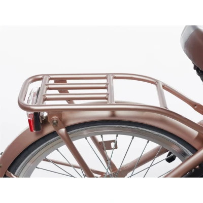 Afbeelding van Alpina Achterdrager 20 Clubb rose gold matt