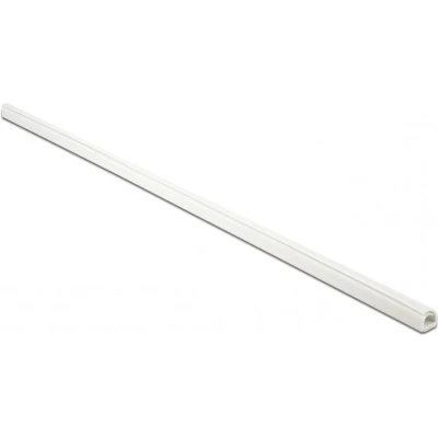 Afbeelding van Delock 20717 Kabelgoot Mini zelfsluitend zelfklevend 10 x mm lengte 1 m wit