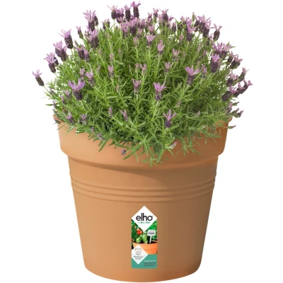 Afbeelding van Bloempot Green basics kweekpot 35 cm mild terra elho