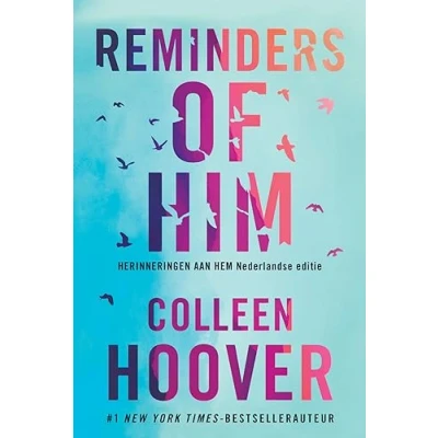 Afbeelding van Reminders of him (Paperback)