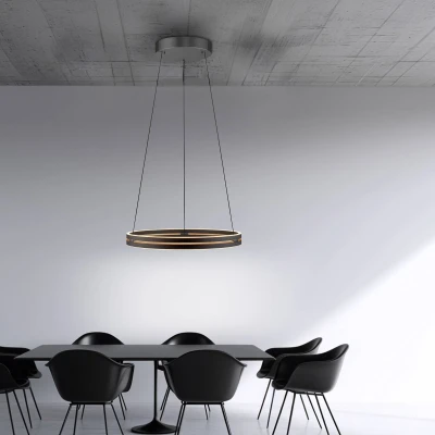 Afbeelding van Paul Neuhaus Strakke hanglamp Pure E Loop zwart Ø 70cm 2551 18