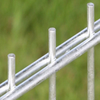 Afbeelding van Intergard Dubbelstaafmatten 83x251cm afsluitingen hekwerken vuurverzinkt