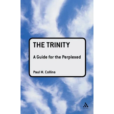Afbeelding van the Trinity: A Guide for Perplexed