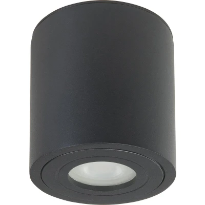 Afbeelding van HighLight plafondlamp Maxi Rebel IP44 rond zwart