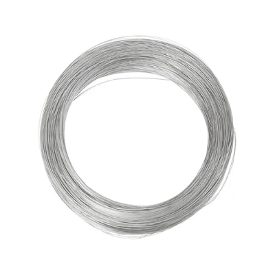Afbeelding van 0.8mm 304 Rvs Draad 32Ft voor DIY Handleiding Kunst en Ambachten Bailing Beeldhouwen Artistieke Sieraden Maken Bonsai Training Tuin