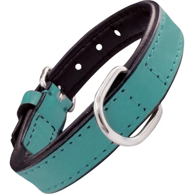 Afbeelding van Dog collar Gloria Padded Turquoise (35 x 1,5 cm)