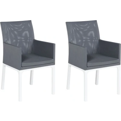 Afbeelding van Beliani BACOLI Tuinstoel Grijs Polyester