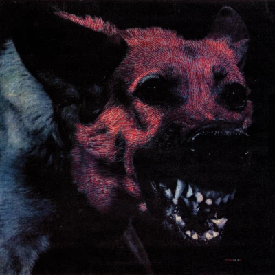 Afbeelding van Protomartyr Under Color Of Official (CD)