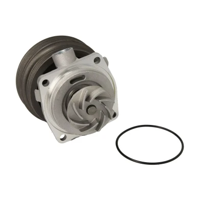 Afbeelding van Thermotec Waterpomp D1F070TT