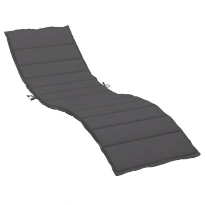 Afbeelding van vidaXL Ligbedkussen 200x60x3 cm oxford stof antracietkleurig