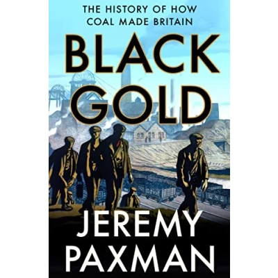 Afbeelding van Black Gold: The History of How Coal Made Britain