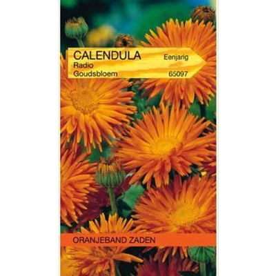 Afbeelding van Calendula, Goudsbloem Radio