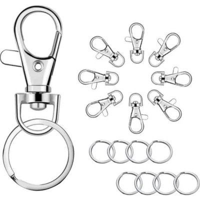 Afbeelding van FSW Products 10 Stuks Sleutelhangers Karabijn Sleutelbos RVS Sleutelkoordjes Sleutelhanger Haken Clip Karabijnhaken Sleutelringen Sleutellabels Keycord