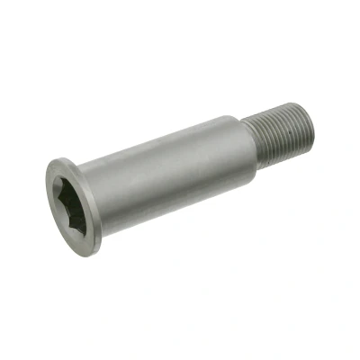 Afbeelding van Febi Bilstein Lagerpen spanrolschommel 01963