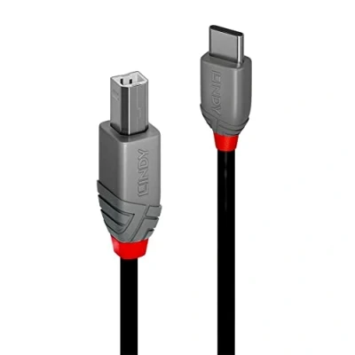 Afbeelding van Lindy 36943 USB kabel 3 m 2.0 C B Zwart