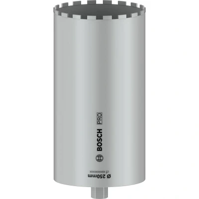 Afbeelding van Bosch Professional 2608601801 Gatenzaag 250 mm 1 stuk(s)