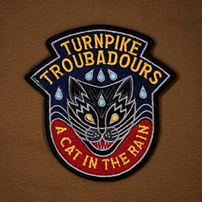 Afbeelding van Turnpike Troubadours A Cat In the Rain (LP)