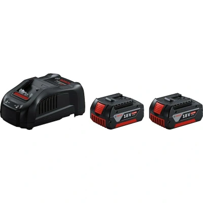 Afbeelding van Bosch 1600A00B8J 18V Li ion accu starterset (2x 5.0Ah) + lader